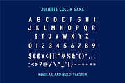 Juliette Collin - Vintage Font Famil, a Script Font by Grezline Studio (Thumbnail 12 of 13)