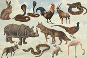 Rare! Meinhold Zoology Cliparts, an Object Graphic by Lilithcollageart (Thumbnail 10 of 11)