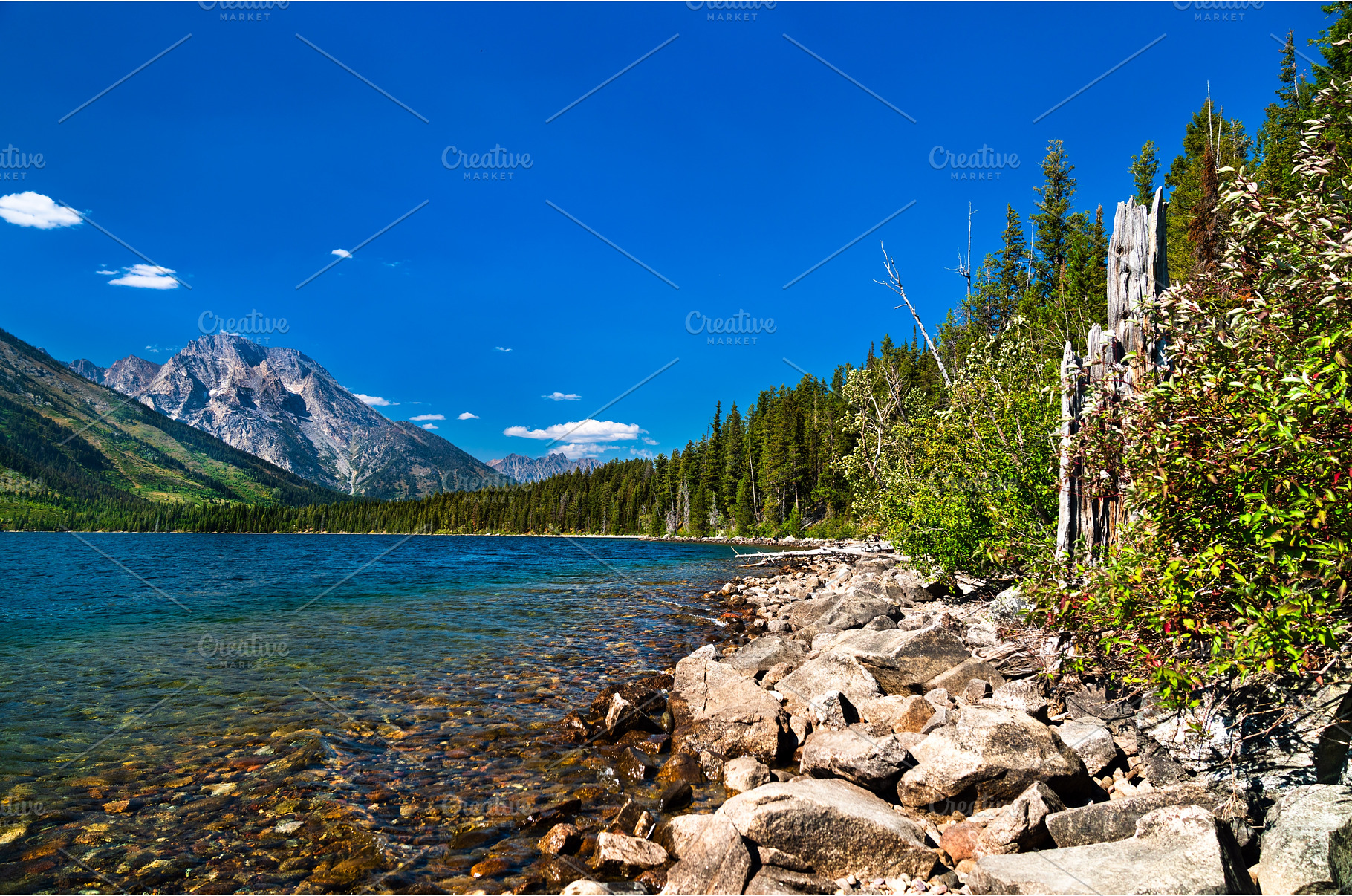 Rocky shoreline of Jenny Lake with, a Nature Photo by Leonid Andronov