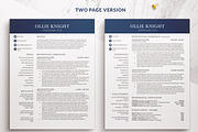Modern Executive Resume Template, a Resume Template by BestResumes.Co (Thumbnail 2 of 9)