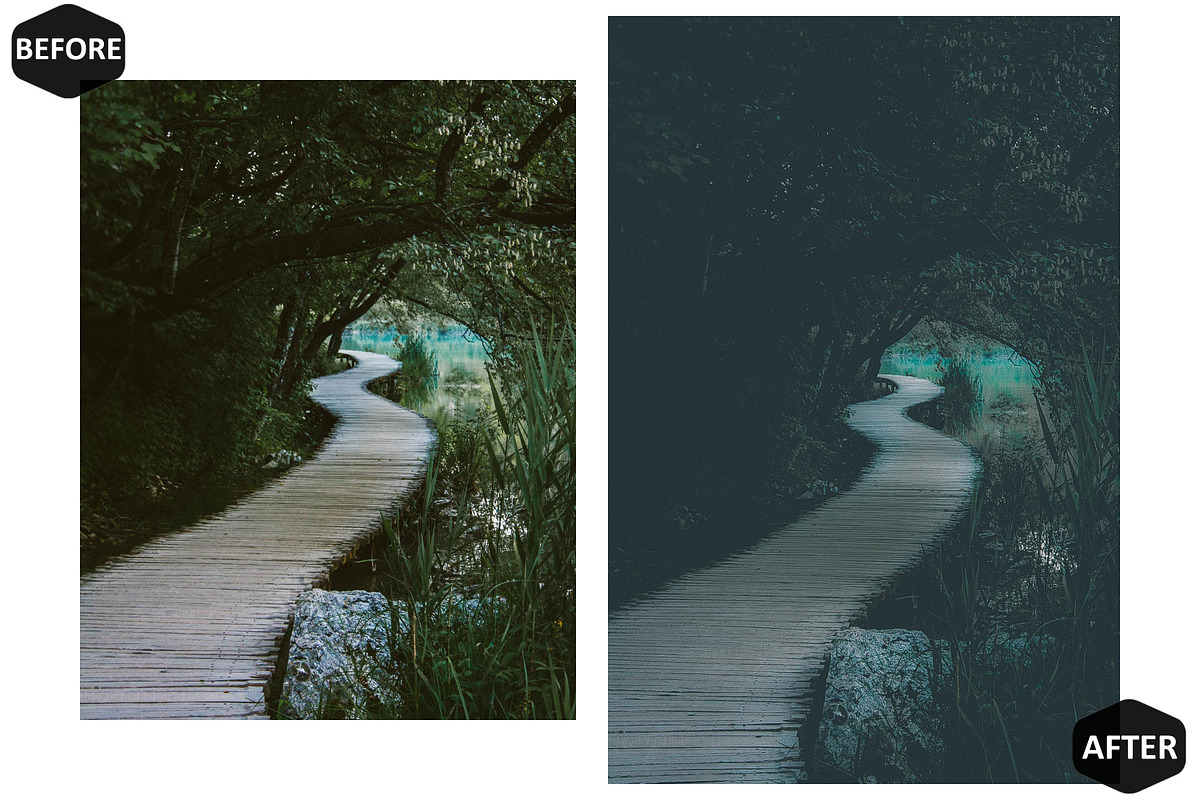 12 Mysterious Forest Photoshop, an Action Add-On by Hue Palettte Studio (Photo 6 of 10)