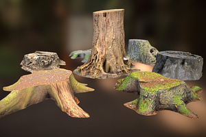 7 TREE STUMPS