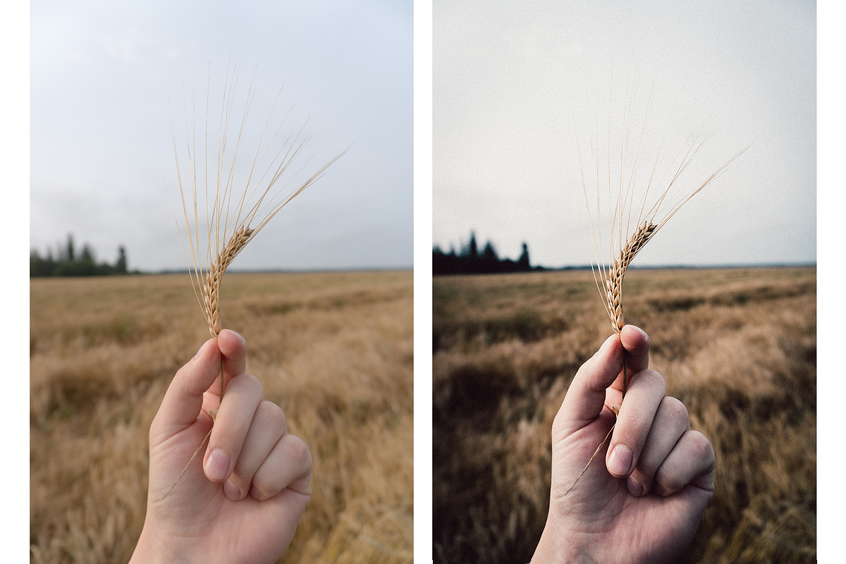 5 VINTAGE LIGHTROOM PRESETS preview 3