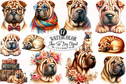 Shar-Pei Dog Watercolor Clipart, an Illustration by Designking (Thumbnail 1 of 4)
