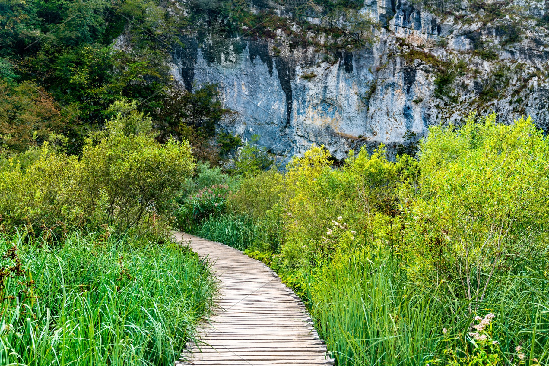 Wooden pathway above water at featuring croatia, plitvice, and waterfall, a Nature Photo by Leonid Andronov