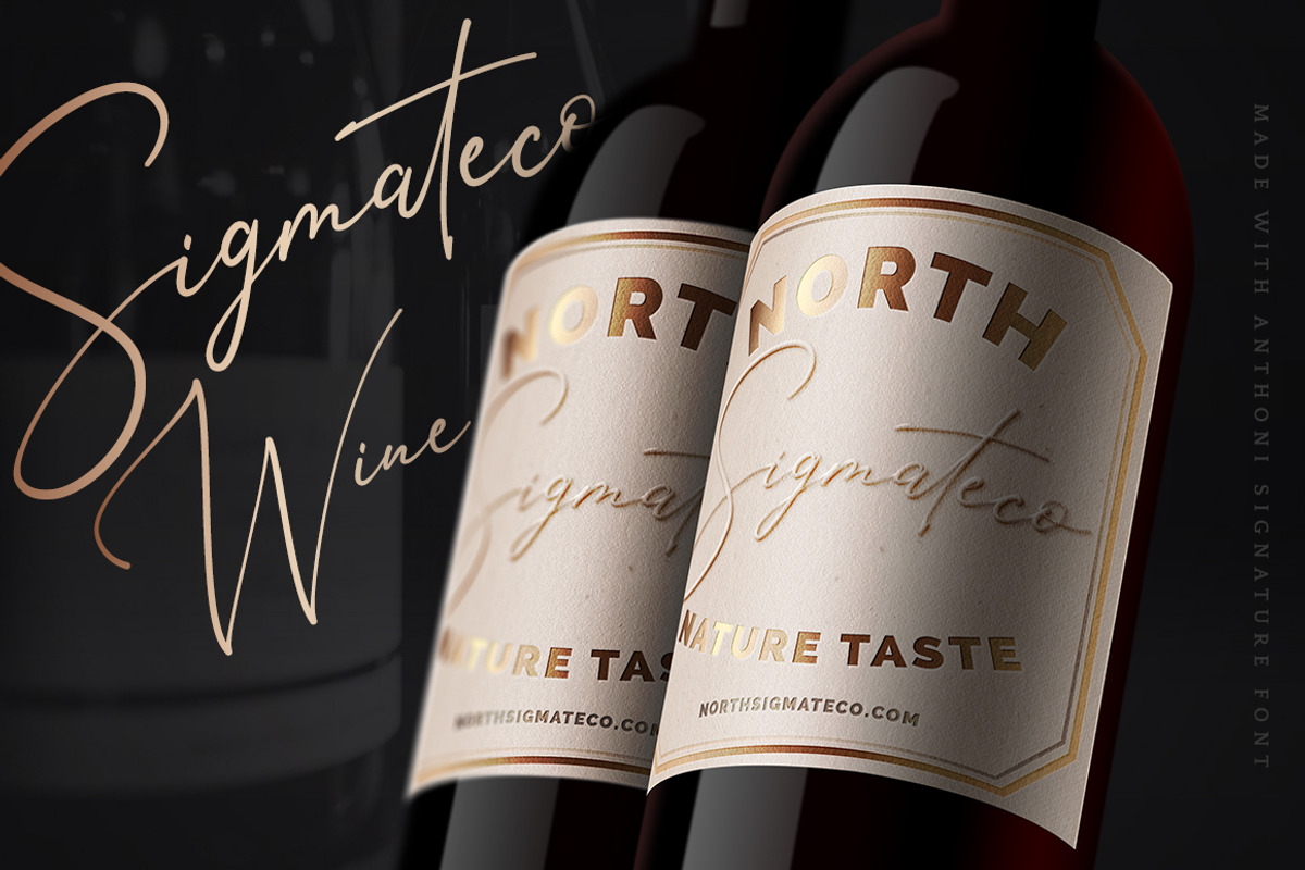 Anthoni Signature Script Font preview 4