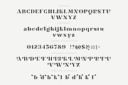 Smile Darling, a Serif Font by Prioritype Co (Thumbnail 9 of 10)