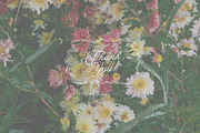 Autumn floral illustrations, a Decorative Illustration by Vero Arts (Thumbnail 9 of 9)