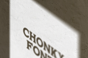 Chonky Fonty | A chunky display, a Serif Font by OneTen The Studio (Thumbnail 5 of 9)