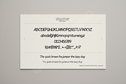 Poyane - Elegant Modern Serif Typef, a Serif Font by Astuti Studio (Thumbnail 2 of 16)