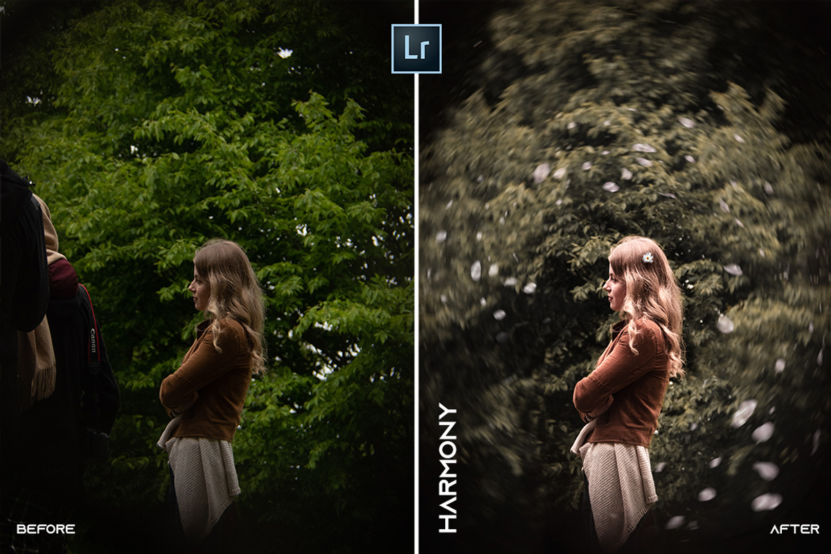 BEST MOBILE + PC Lightroom Presets, a Plug-in Add-On by @guillepixl (Photo 7 of 16)