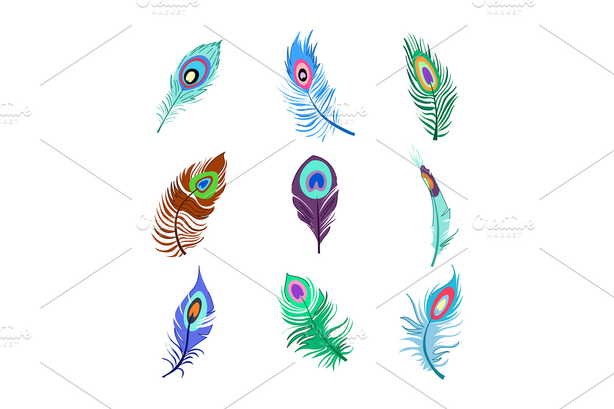 peacock feather set cartoon vector, an Object Illustration by pikepicture