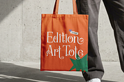 Arloyn Courley | Modern Serif, a Serif Font by Denustudios (Thumbnail 6 of 11)