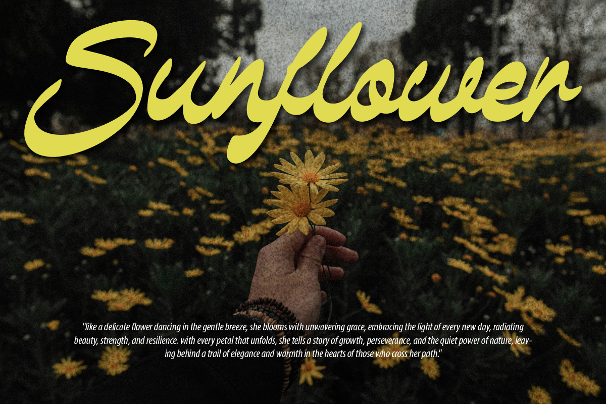 Monlight Retro Modern Script Font, a Script Font by Ronny Studio (Photo 7 of 9)