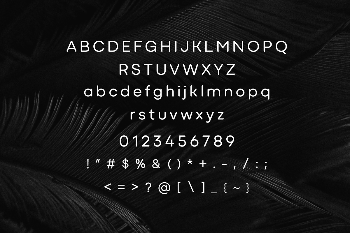 Basa Sans Serif Font, a Sans Serif Font by Glowin_studio (Photo 6 of 6)