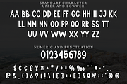 Rainier Today, a Script Font by FreshTypeINK (Thumbnail 5 of 8)