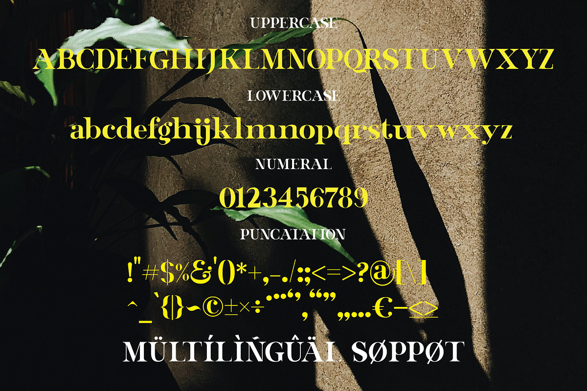 Ghost rider, a Serif Font by WisnoetypeCo (Photo 4 of 7)