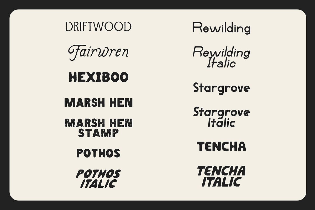 Fairwren Collective Font Bundle, a Sans Serif Font by Fairwren Creative (Photo 2 of 18)