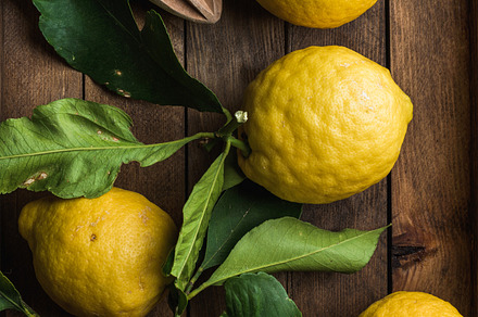Fresh lemons with leaves featuring lemon, yellow, and citrus, a Food & Drink Photo by Foxys