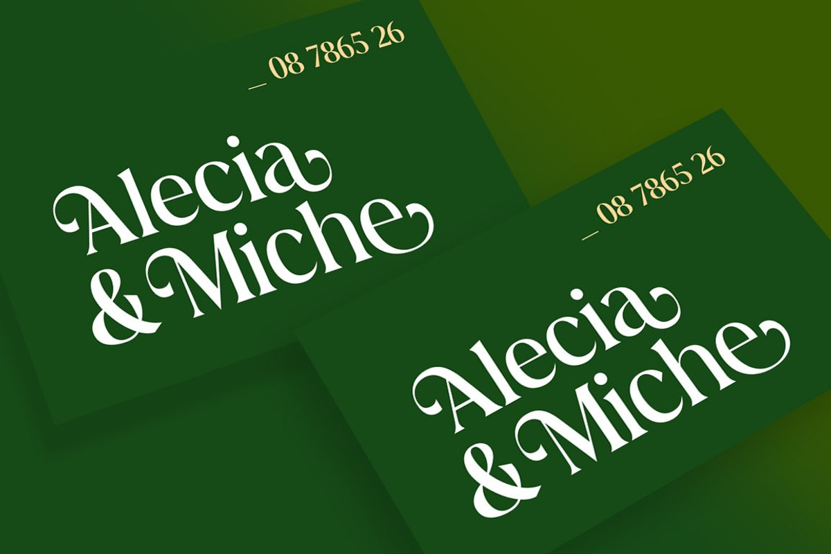 Abigeta 50% Discount, a Serif Font by Adam Azura (Photo 10 of 14)