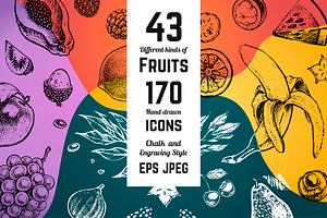 Fruits - Hand Drawn Vector Set