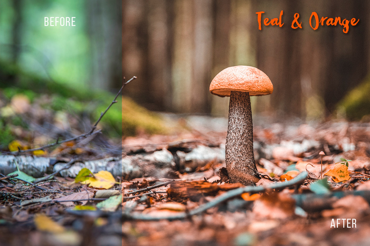 TEAL & ORANGE Lightroom presets preview 2