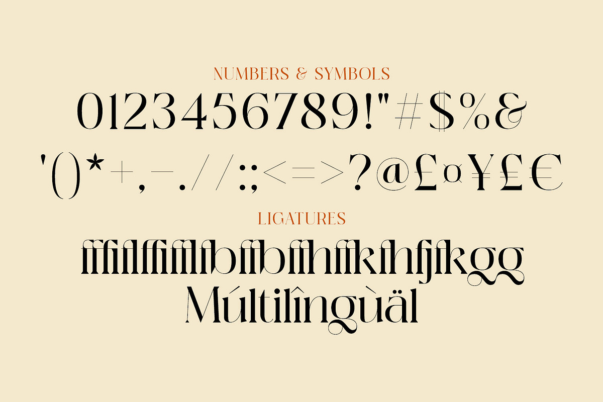 Michiya, a Serif Font by MJtypefoundry (Photo 11 of 11)