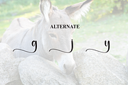 Donkey | Script Font, a Handwritten Font by Scratchones (Thumbnail 8 of 9)