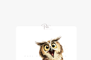 25 Owl Clipart PNGs, an Animal Illustration by Pati Charm Studio (Thumbnail 6 of 8)