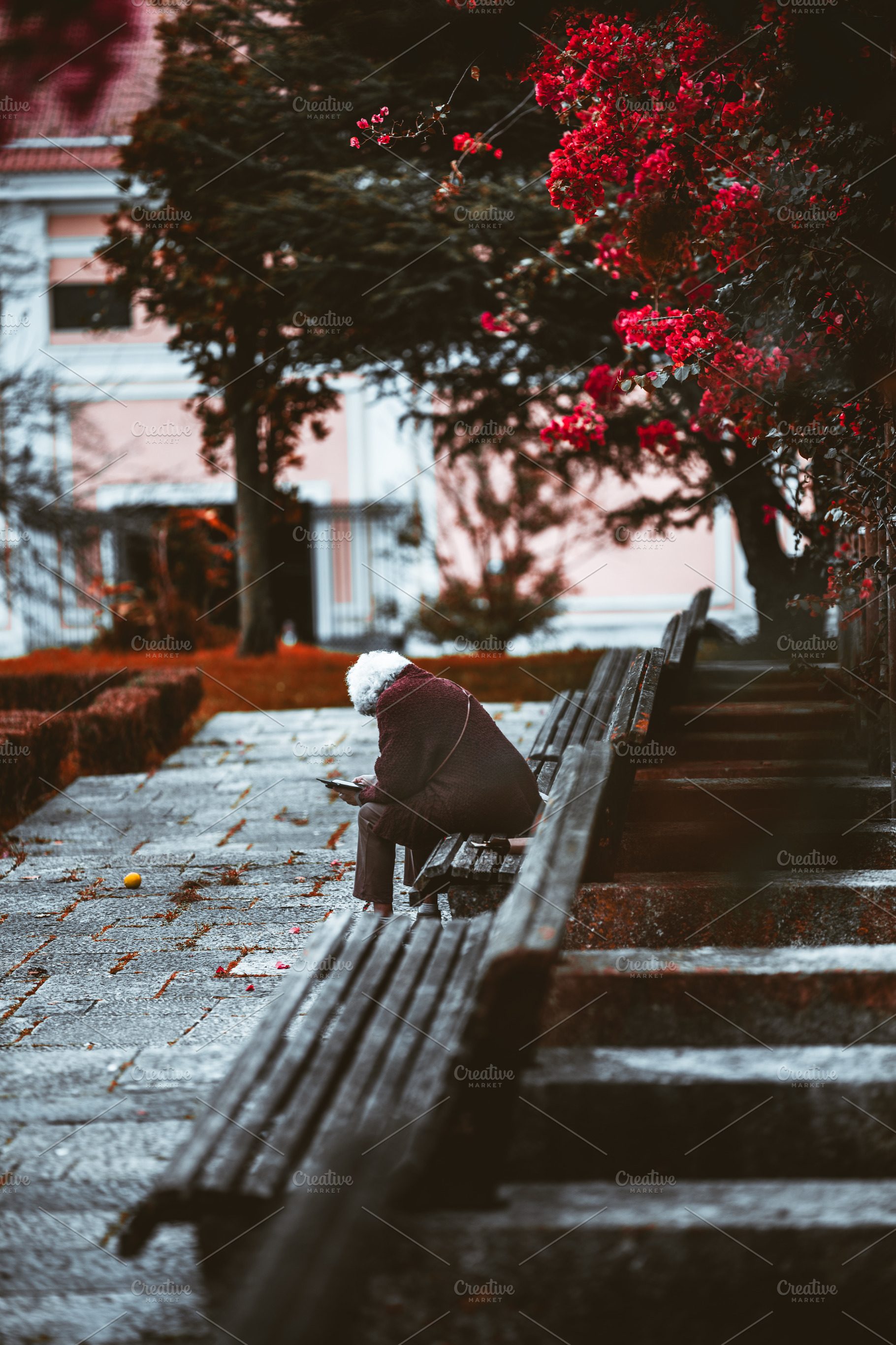 Lonely senior silhouette on bench, a Person Photo by SkyNext