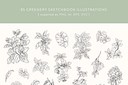 Greenery Sketchbook Illustrations, a Decorative Illustration by Emma Webb Studio (Thumbnail 2 of 7)