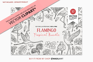 Tropical Flamingo Procreate Stamps