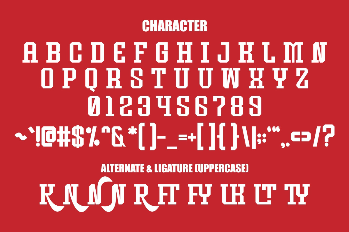 Winter Wonder - Bold Slab Serif, a Slab Serif Font by Pian45 Studio (Photo 3 of 6)