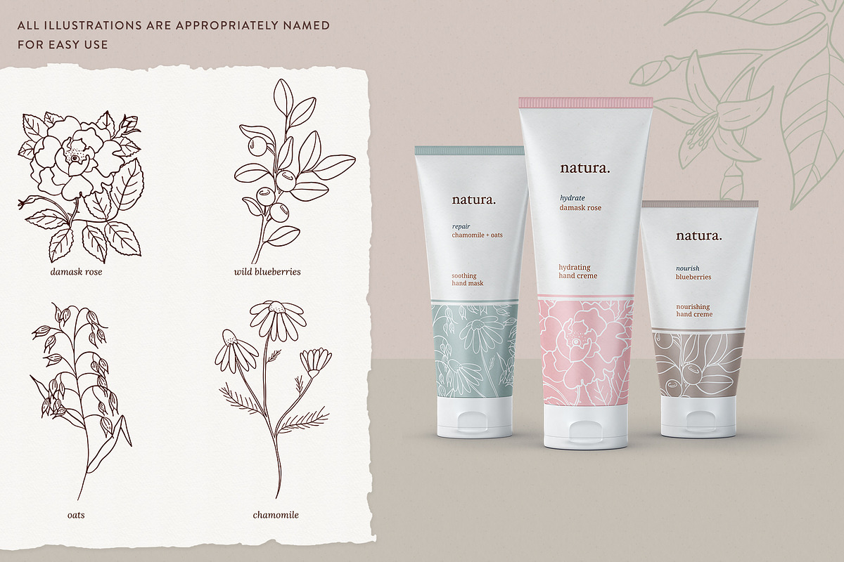 Skin Care Botanicals | 30 designs, a Healthcare Illustration by amber&ink (Photo 6 of 9)