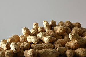 Pile of peanuts in shell isolated on a gray background, a Food & Drink Photo by Davizro's Market