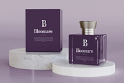 Roflair–Modern Decorative Serif Font, a Serif Font by overlaytemplates (Thumbnail 3 of 5)