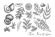 Botanical Beauty & Spa Branding Kit, a Healthcare Illustration by Yevheniia (Thumbnail 5 of 12)
