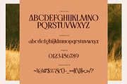 Gathell Typeface, a Serif Font by alit design (Thumbnail 12 of 16)