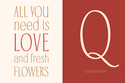 Cadence Demi-Serif Display Font, a Serif Font by Type and Graphics Studio (Thumbnail 16 of 28)