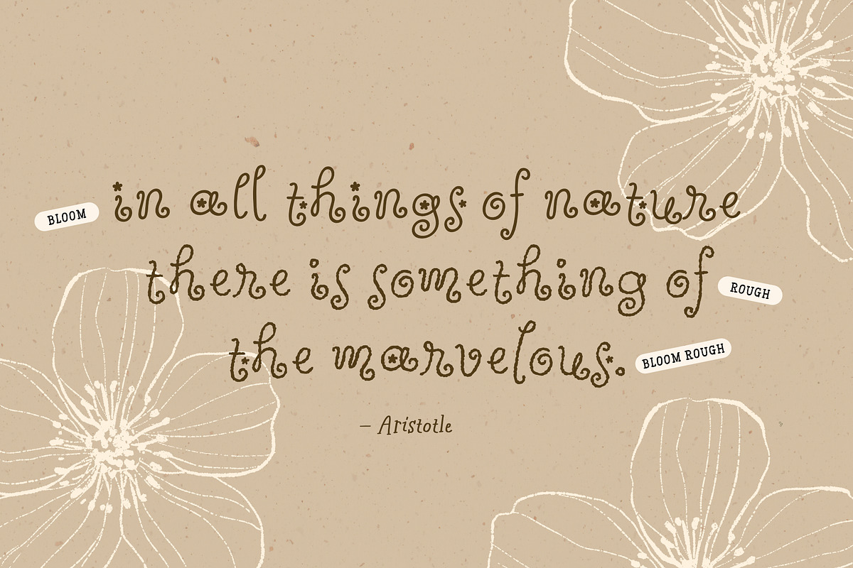 Wildflower Garden | Whimsical Font, a Handwritten Font by type peace (Photo 10 of 14)