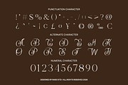 Selora Elegant Swash Serif Font, a Serif Font by Rasio Studio (Thumbnail 6 of 9)
