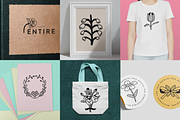 Imperfect Botany: Hand-Drawn Florals, a Decorative Illustration by Iris Atelier (Thumbnail 7 of 7)
