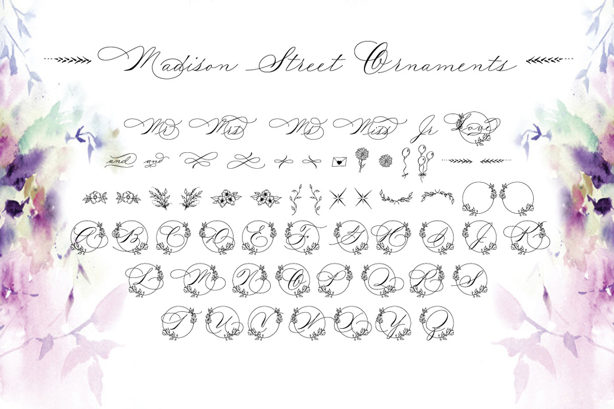 Madison Street Pro + Ornaments, a Script Font by STUDIOWAYS (Photo 3 of 4)