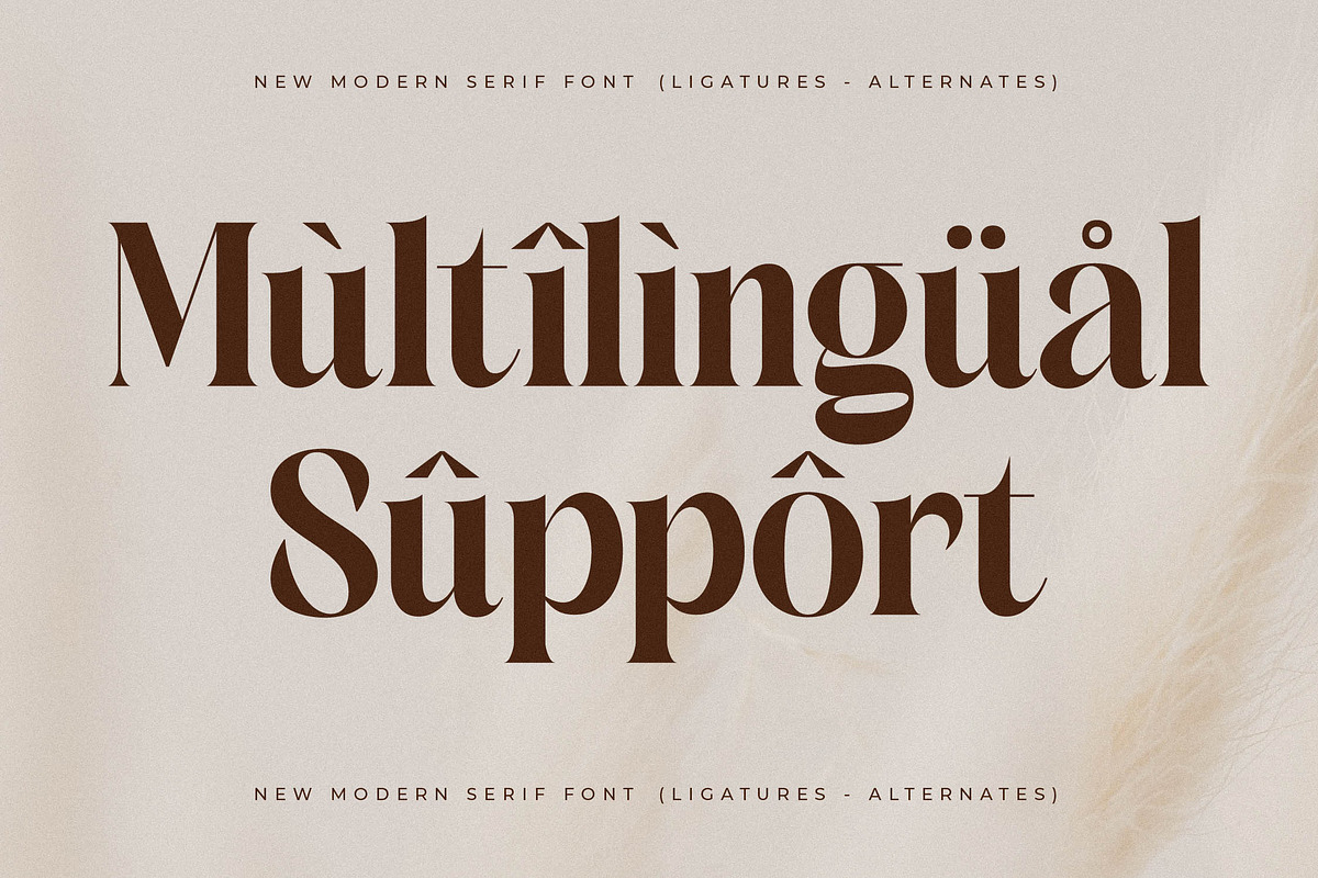 Copeland New Modern Serif Font, a Serif Font by Storytype Studio (Photo 12 of 15)