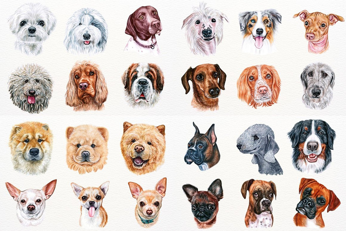 100+ Watercolor Dog Breeds - UPDATE, an Animal Illustration by ArtbyHien (Photo 3 of 9)