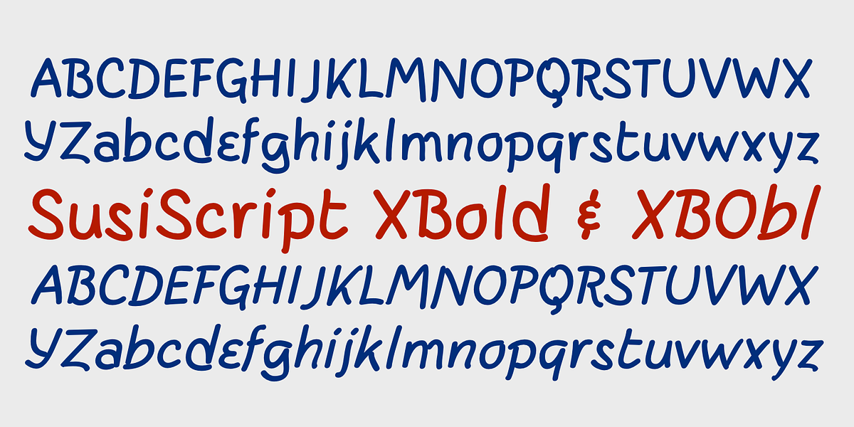 SusiScript, a Handwritten Font by Ingrimayne Type (Photo 8 of 9)