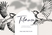 Titmous. Pencil illustrations, an Object Graphic by Tilling (Thumbnail 1 of 5)