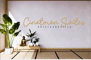 Euproshyne, a Script Font by And Studio (Thumbnail 10 of 16)