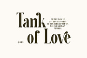 Cergian Elegant Ligature Serif Font, a Serif Font by Perfectype (Thumbnail 2 of 6)