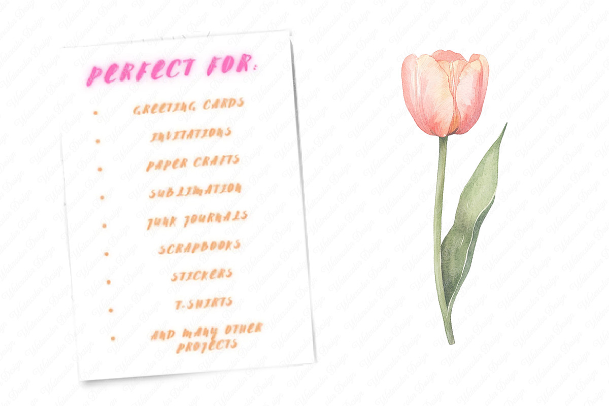 Watercolor Blush Wild Flowers, an Illustration by Watercolor design (Photo 11 of 12)